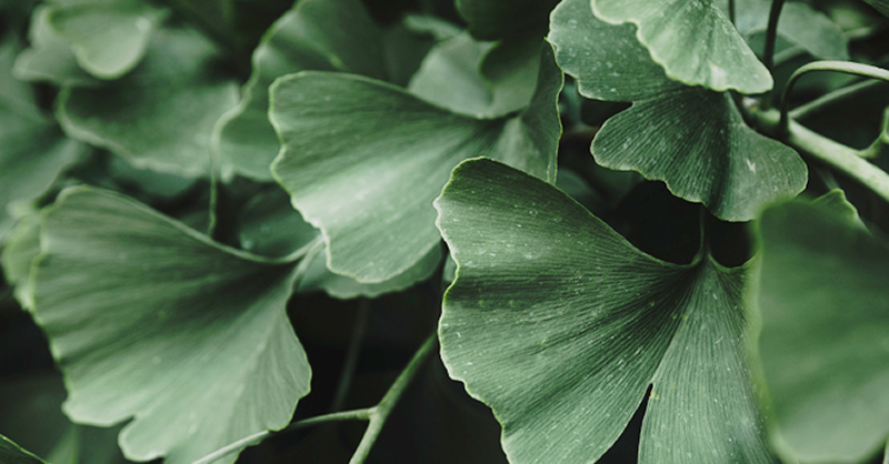 เคล็ดลับดูแลสมองสู่ความเป็นอัจฉริยะ