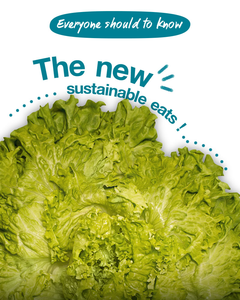The new sustainable eats 