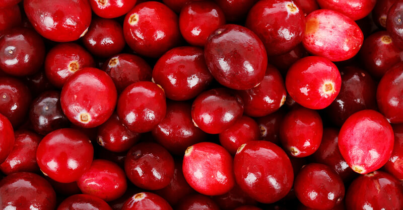 Cranberry is protective against urinary tract infections
