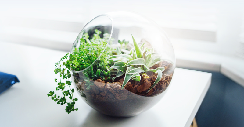 7 Health Hack ง่ายๆ เพื่อสุขภาพที่ยั่งยืน