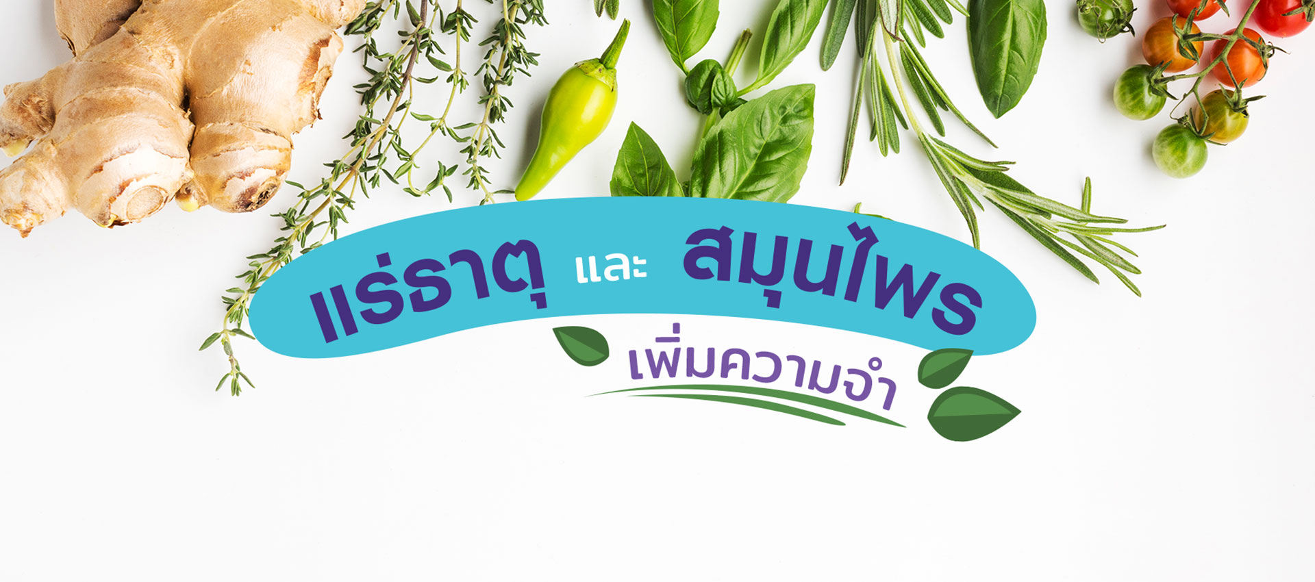 แร่ธาตุและสมุนไพรเพิ่มความจำ