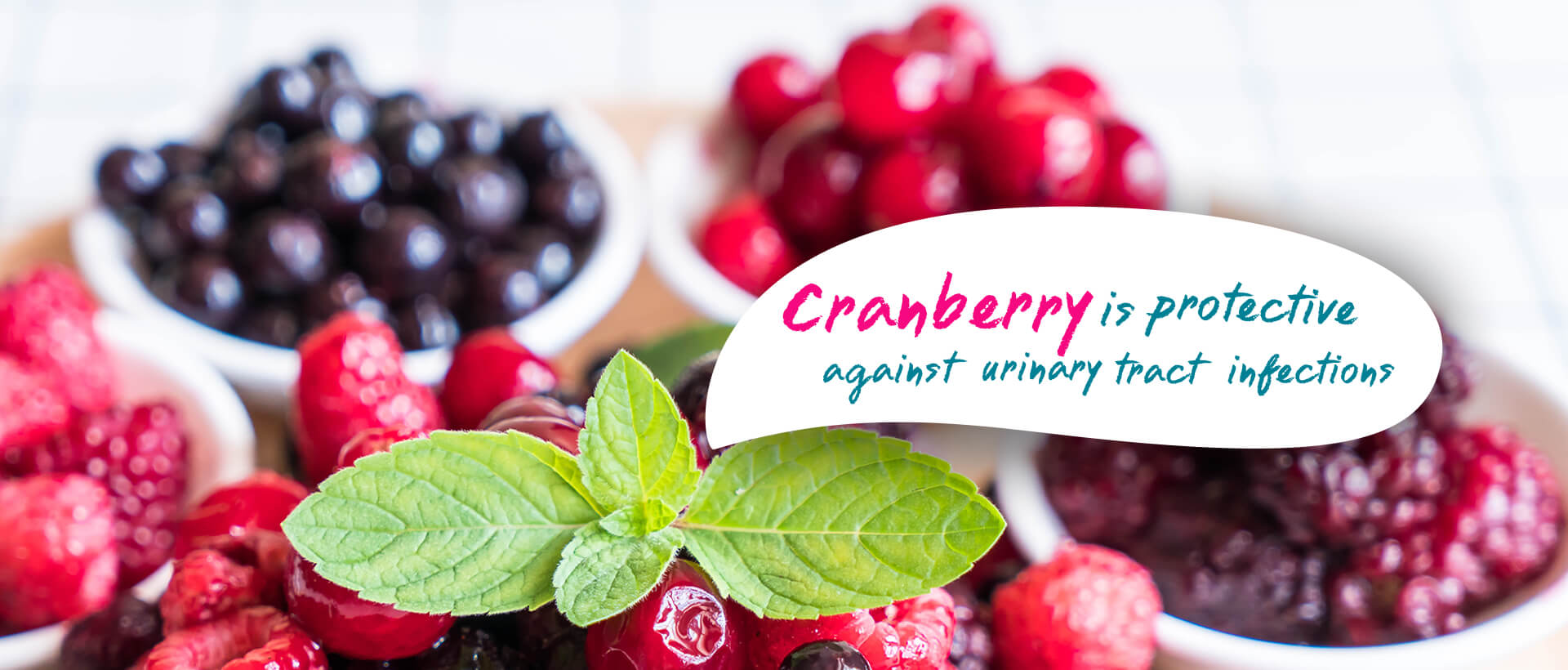 Cranberry is protective against urinary tract infections