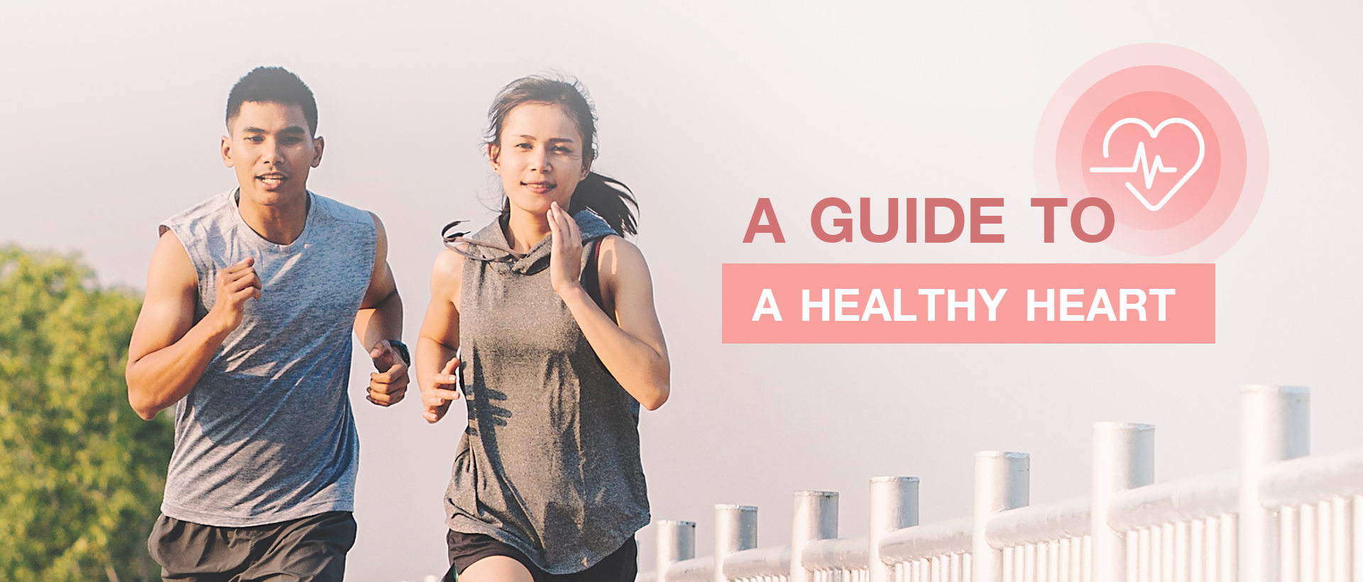 A guide to a healthy heart 