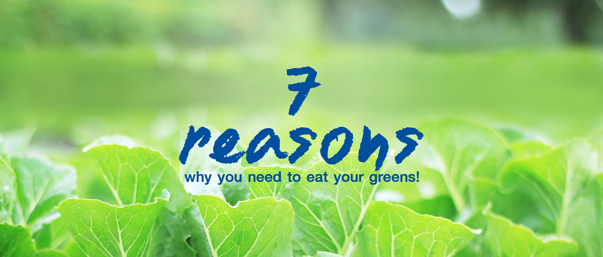 reasons why you need to eat your greens 