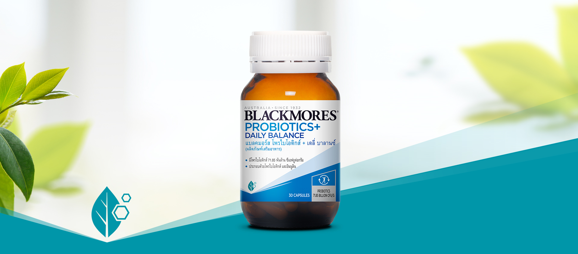 Blackmores Probiotics+Daily Balance