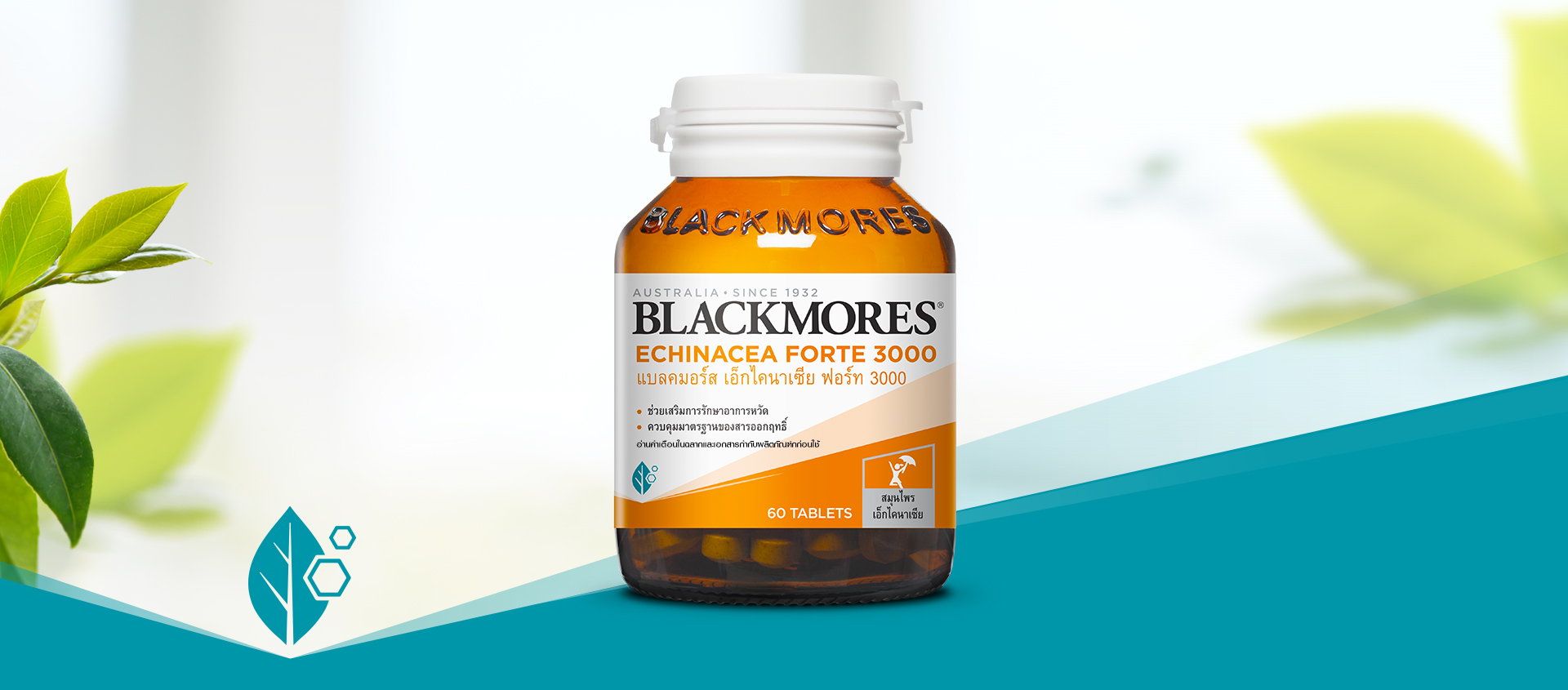 Blackmores Echinacea Forte 3000